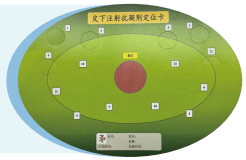 图片39.png
